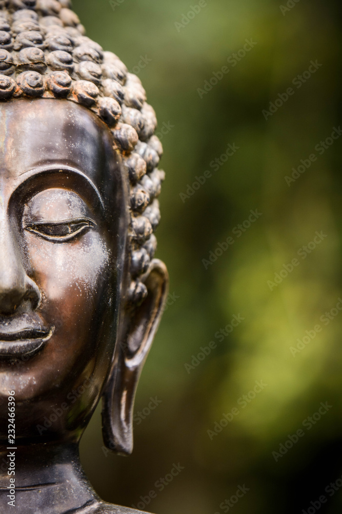 Face of the buddha