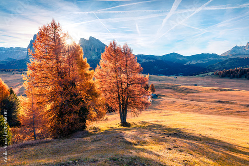 Impressive outdoor scene in Alpe di Siusi mountain plateau with beautiful yellow larch trees. Colorful autumn morning in Dolomite Alps, Ortisei locattion, Italy, Europe.