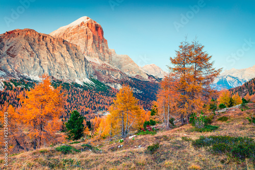 Splendid view from top of Falzarego pass with Lagazuoi mountain range. Colorful autumn morning in Dolomite Alps, Cortina d'Ampezzo lacattion, Italy, Europe. Beauty of nature concept background. photo