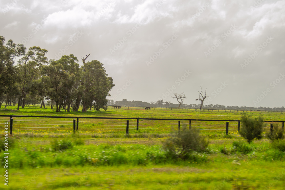 Landscape of Perth surroundings outback green nature cloudy day