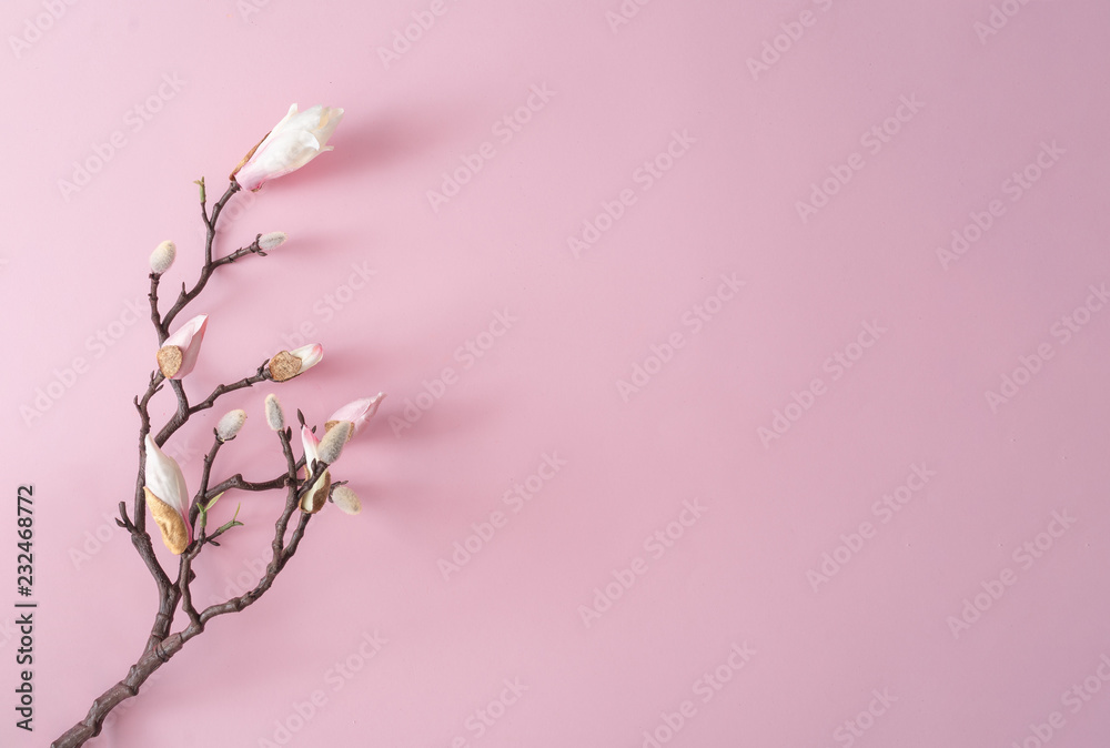 White and pink flowers on pastel pink background. Minimal flat lay top view composition. - obrazy, fototapety, plakaty 