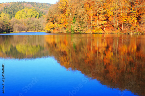 Reflection autumn colorful trees in the forest lake.