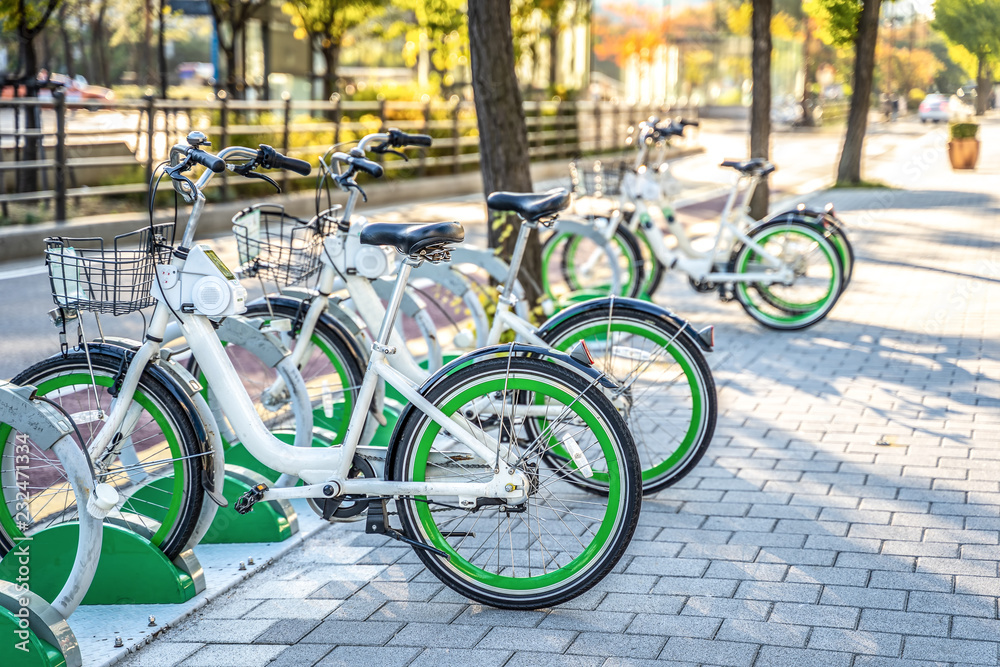 Rental Bikes in Seoul, South Korea. Use app and rent price is very cheap