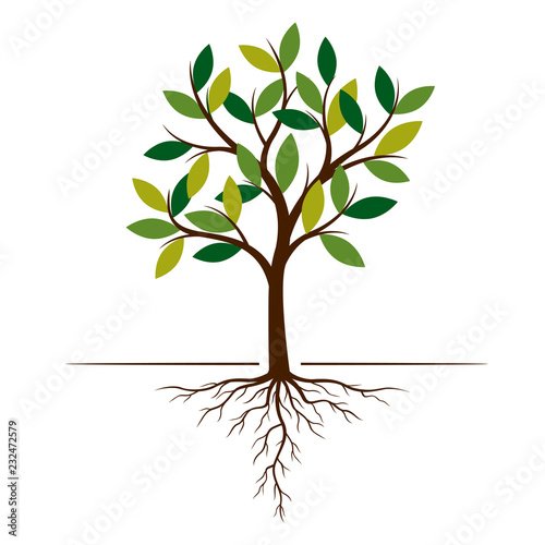 Color Tree and Roots. Vector Illustration.