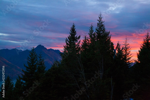 Sunset in Southern Alps mountains, huge pine trees forrest, colourful twilight sky and Walter peak, Queenstown New Zealand South Island photo