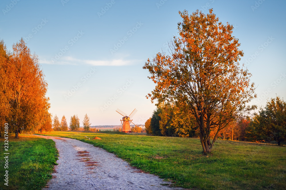 Picturesque autumn landscape with bright trees and dirt road.