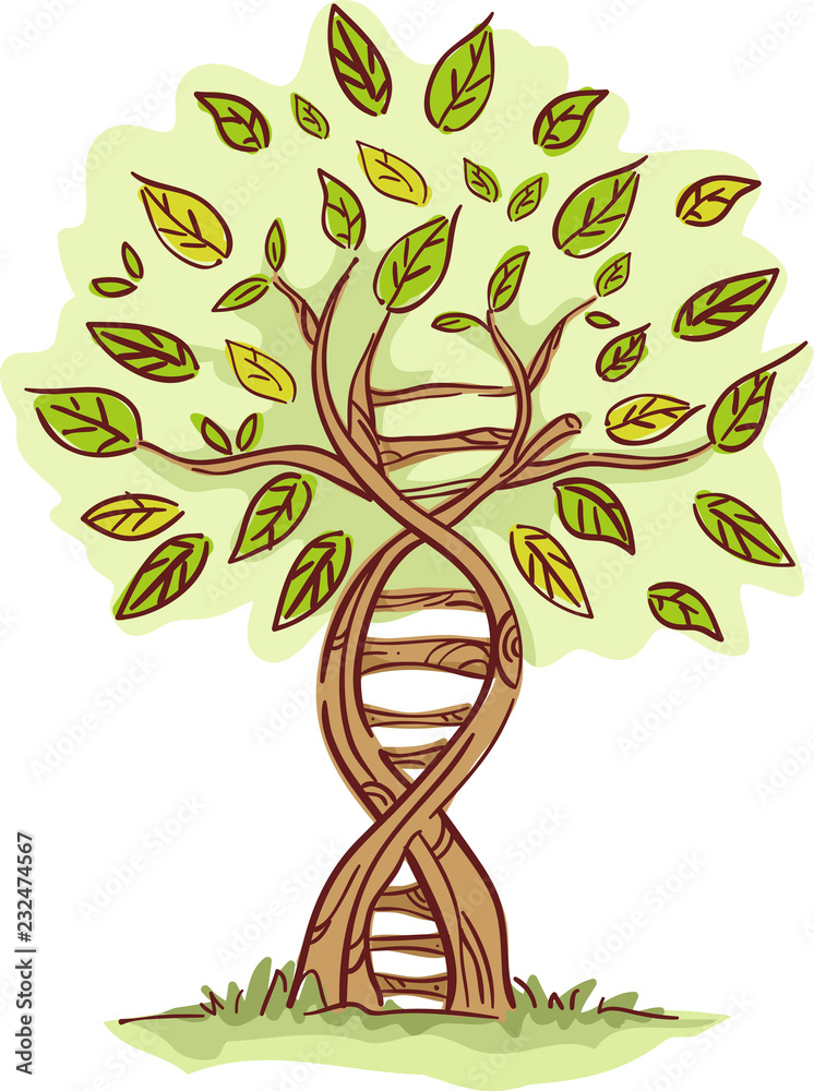 Tree Illustration
