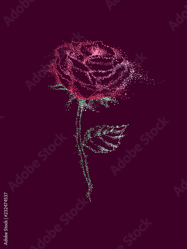 Pointillism Rose Illustration