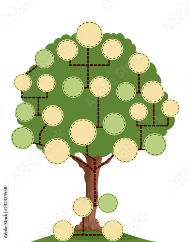 Tree Blank Family Tree Illustration