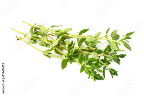 green thyme bunch isolated on white background