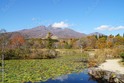 秋のいもり池