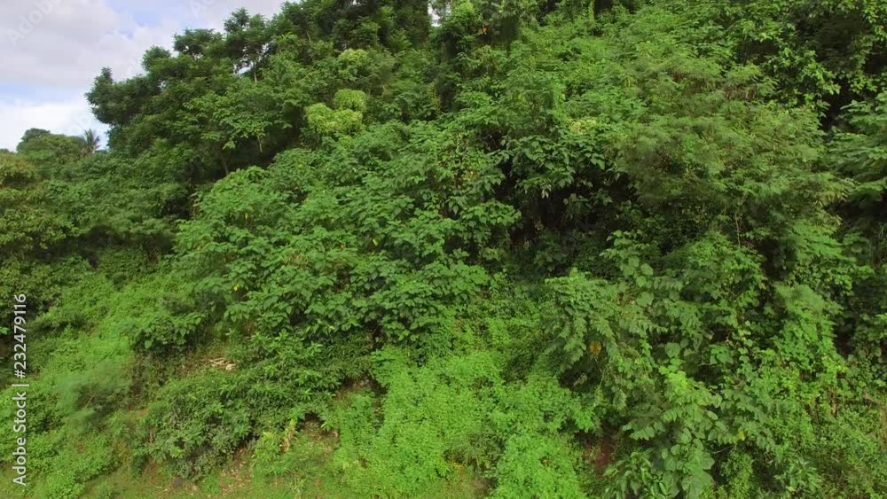 Mt. Makiling, Los Banos, Laguna, Philippines - November 21, 2017: Mountain reserve government protected rain forest replete with full grown trees. Drone aerial shot Mt. Makiling, Los Banos, Laguna, Philippines - November 21, 2017: Mountain reserve government protected rain forest replete with full grown trees. Drone aerial shot