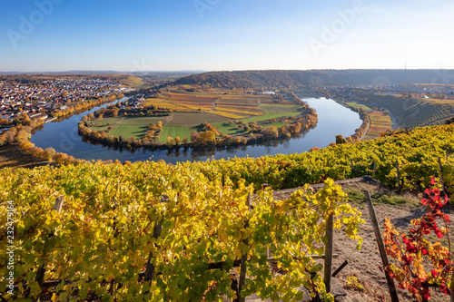 Herbstliche Weinberge an der Neckarschleife bei Mundelsheim