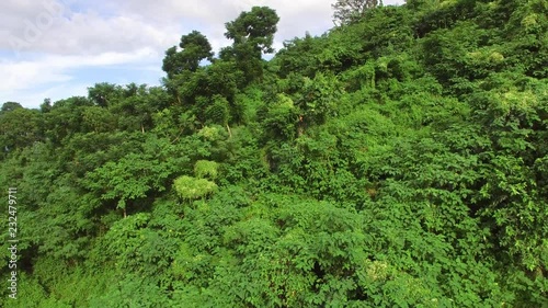 Mt. Makiling, Los Baños, Laguna, Philippines - November 21, 2017: Mountain reserve government protected rain forest replete with full grown trees. Drone aerial shot photo