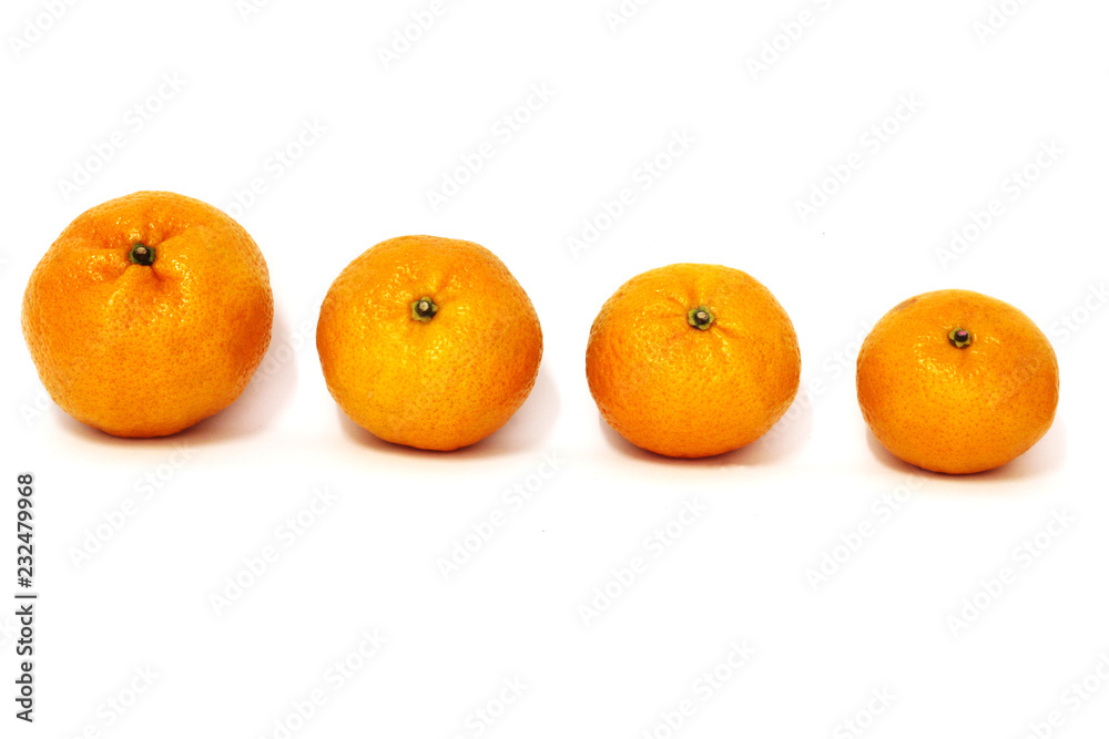 Oranges in different sizes. White background Oranges in different sizes. White background