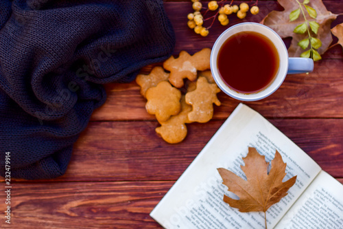Autumn layout with hot tea with a lemon on a sweater and dry leaves. Brown background.Books. © Viktoriia