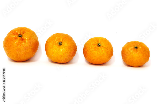 Oranges in different sizes. White background
