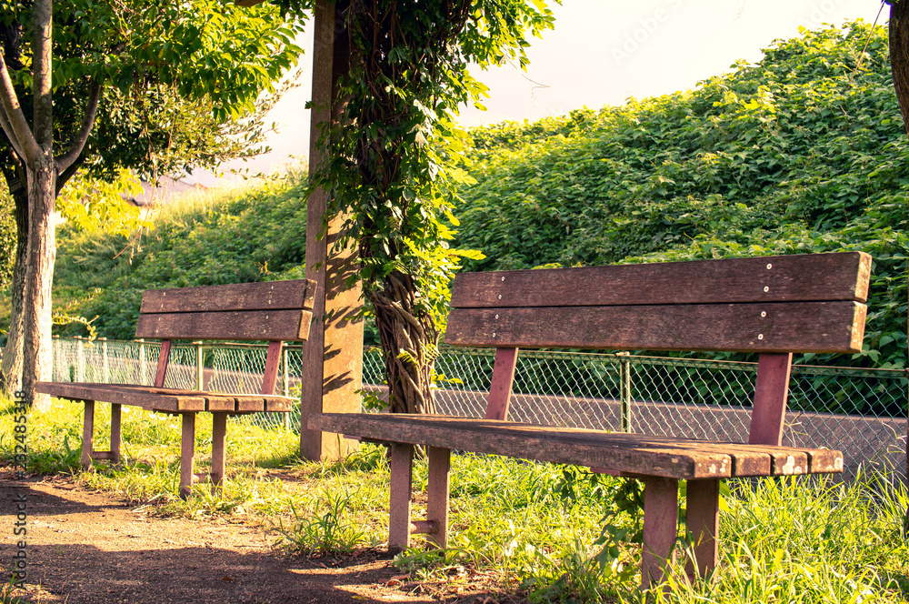 Fototapeta premium park bench