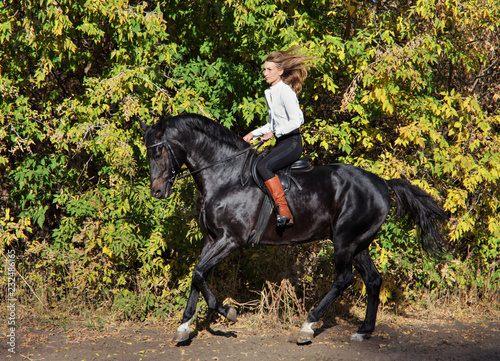 Horse and equestrian girl galloping on autumn road