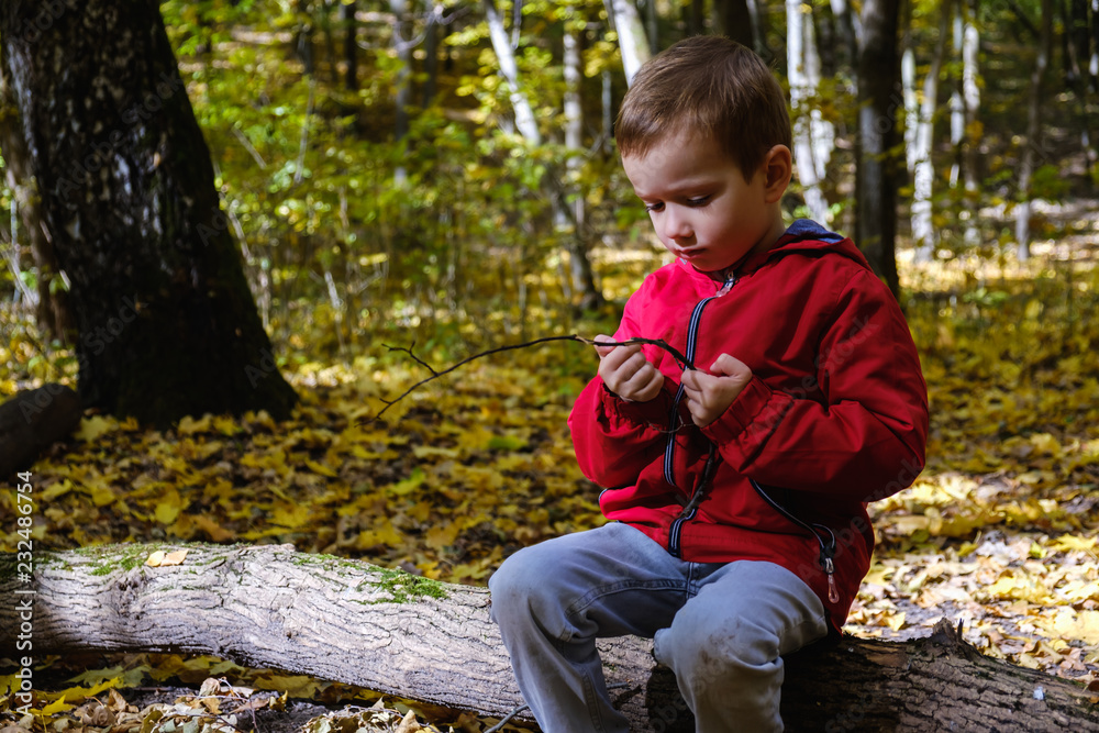 Happy child and autumn in a park. Kid has fun playing in fall leaves. Happy child and autumn in a park. Kid has fun playing in fall leaves.