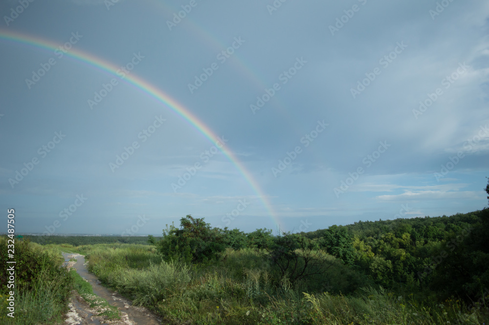 Naklejka premium rainbow