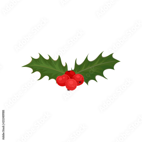 Christmas holly with red berries and green leaves. Nature theme. Flat vector for invitation or greeting card