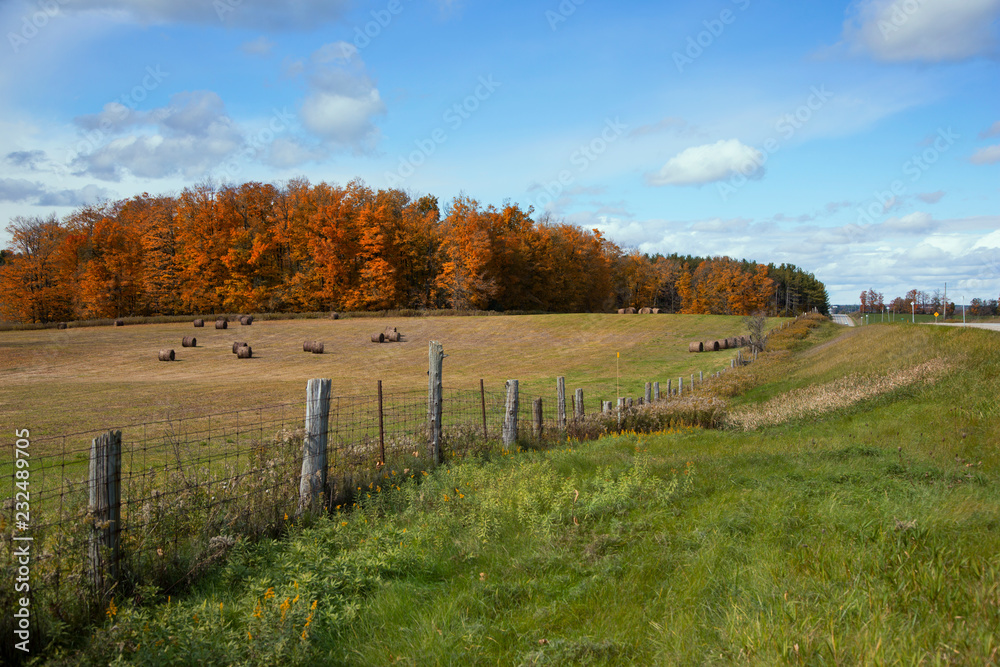 Beautiful Fall colours of Ontario's countryside, Bellfountain, Ontario, Canada. 