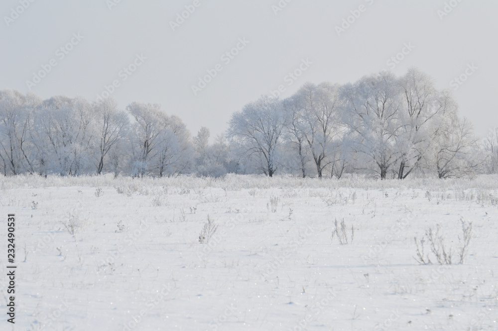 winter landscape trees in snow winter landscape trees in snow