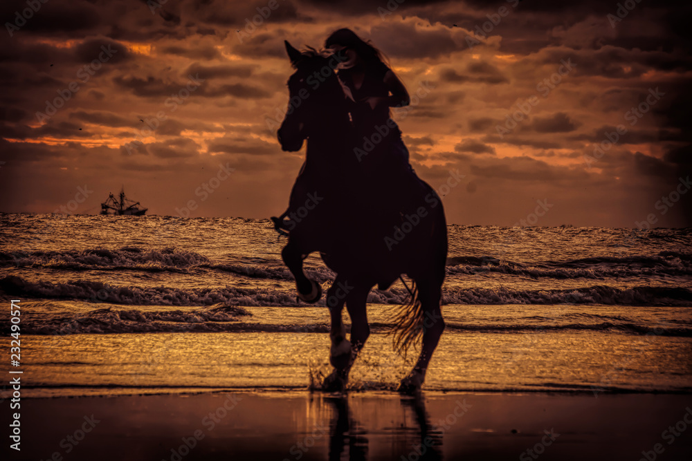 Horse silhouette 