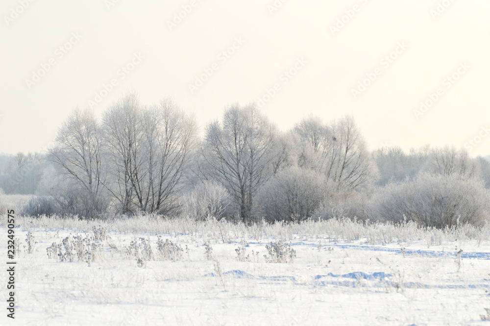 winter landscape trees in snow winter landscape trees in snow