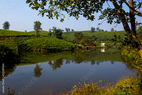 Tea hills in Long Coc highland, Phu Tho province in Vietnam