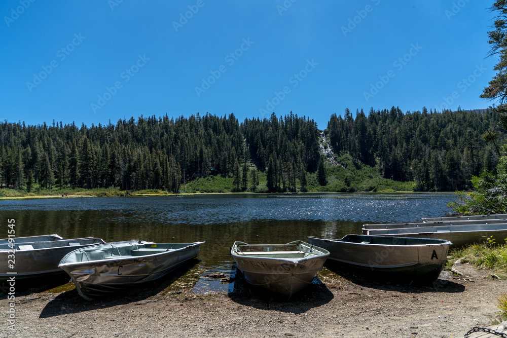 Aluminum boats parked on the shore of a lake with a waterfall in the middle of a background pine forest