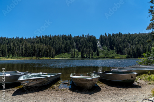 Aluminum boats parked on the shore of a lake with a waterfall in the middle of a background pine forest