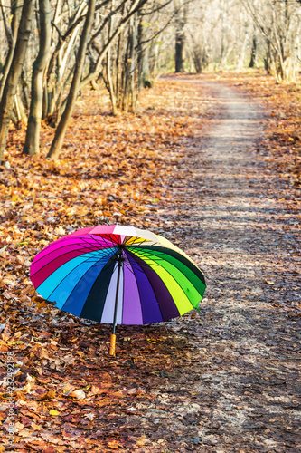 opened multicolored umbrella lies on the autumn foliage in the forest