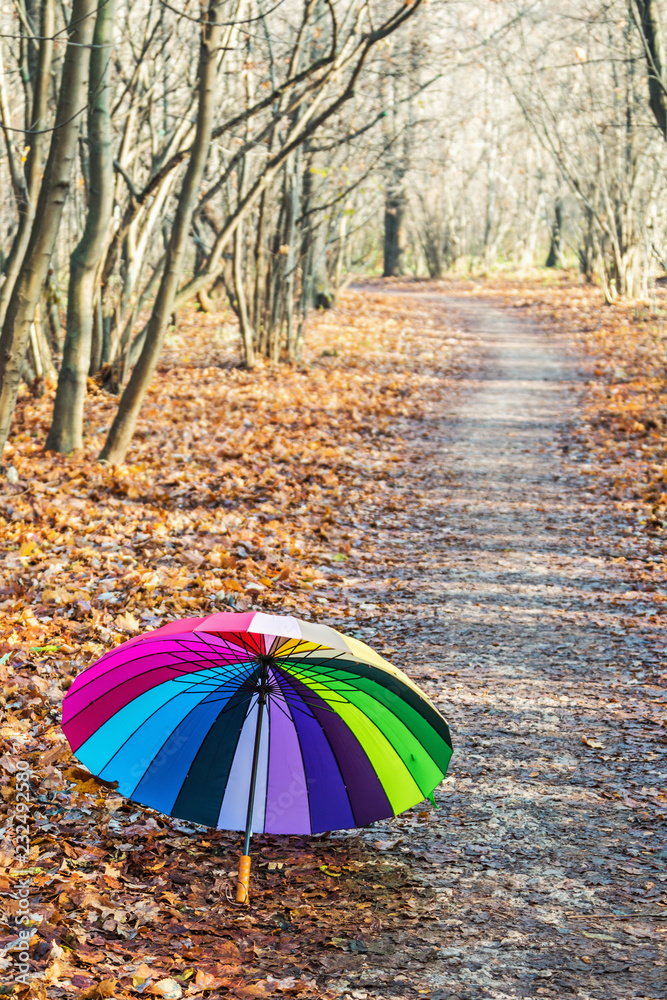 multicolored umbrella lies on the autumn foliage in the forest