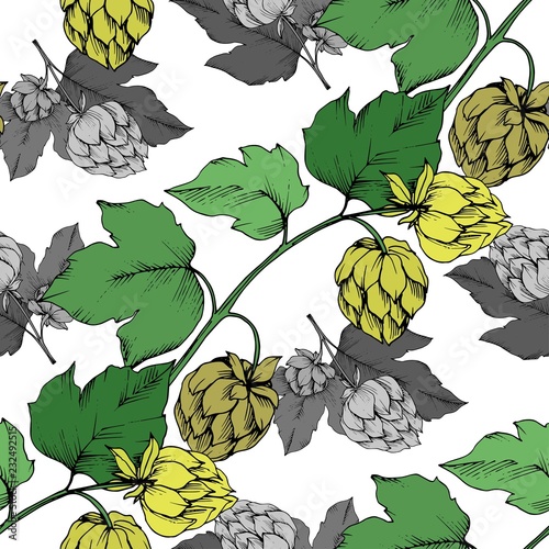 Vector. Black and white engraved humulus ink art. Green leaf. Leaf plant