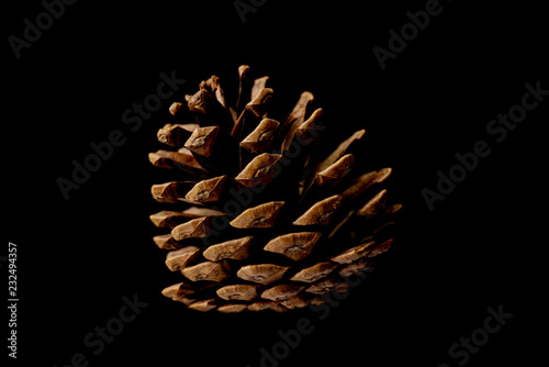 Pine cones isolated on black background.
