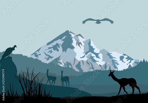 Silhouettes of nature, mountains and animals in  south america  vector wildlife natural landscape. 