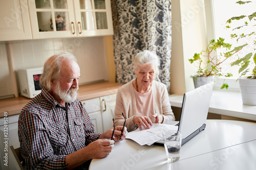 Content senior bearded greyheaded husband and his wife smiling checking utility bills or insurance at computer with easy access, sitting at kitchen table near the window. photo