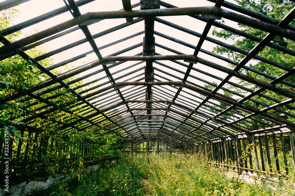 greenhouse in garden greenhouse in garden