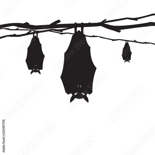 Halloween black bat icon design 