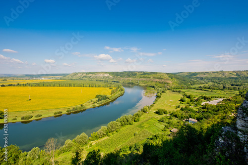 Beautiful view of nature. Blue sky  yelow field.