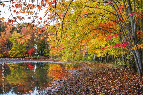 Fototapeta Naklejka Na Ścianę i Meble -  Colorful Shoreline