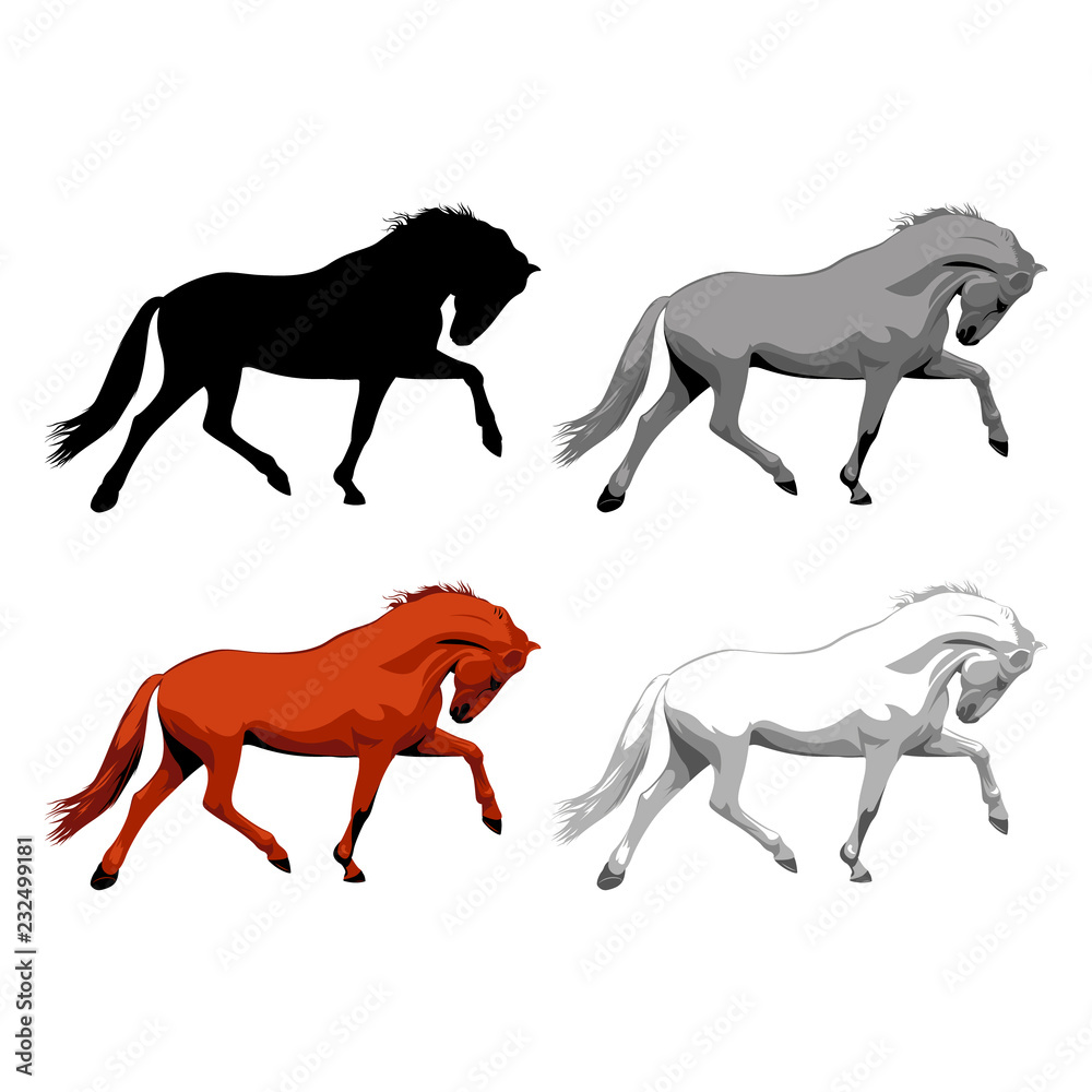 Horse vector illustration. White, brown and black horse