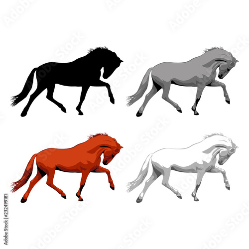 Horse vector illustration. White  brown and black horse