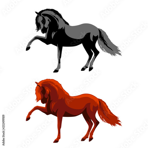 Horse Vector Illustration. The horse knocks hoof