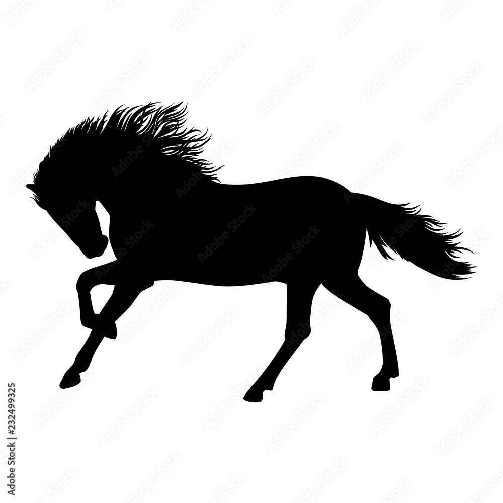 Obraz Koń czarny na białym tle sylwetka - ilustracja wektorowa. Piękne wyścigi konne