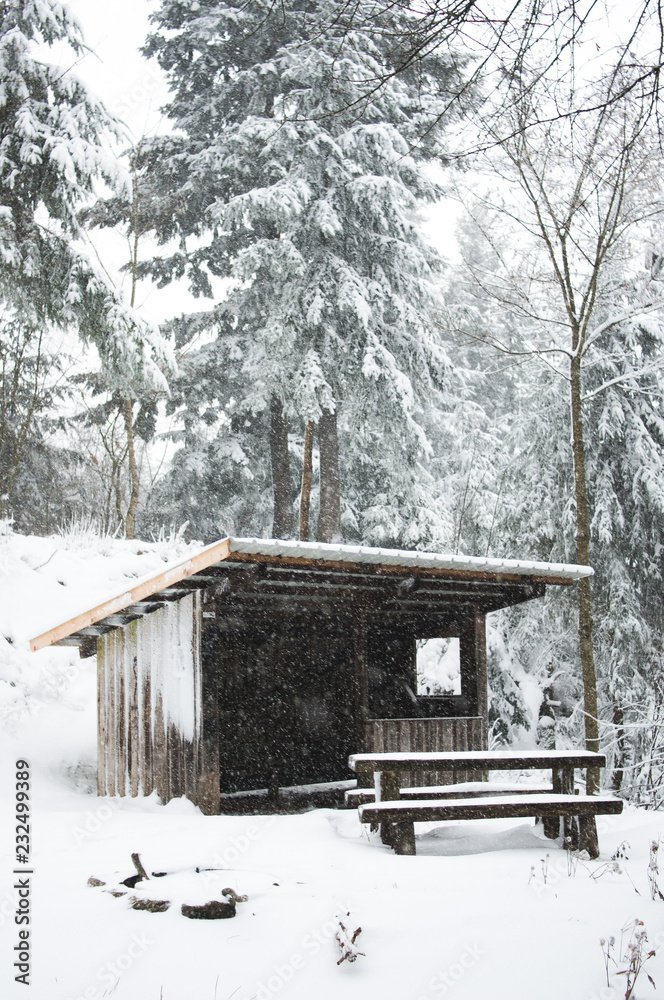 Snow covered rustic log cabin tucked away in the trees in Black Forest, Germany