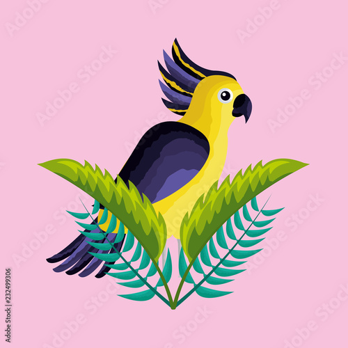 tropical natural leaves