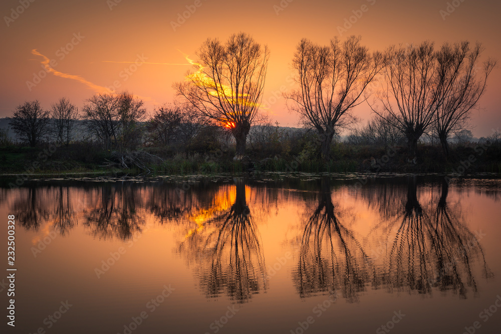 Sunset over the willows on the Habdzin lake near Konstancin-Jeziorna, Masovia, Poland